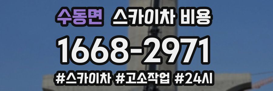 수동면 스카이차 비용