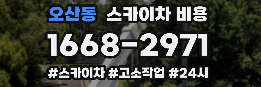 오산동 스카이차 비용