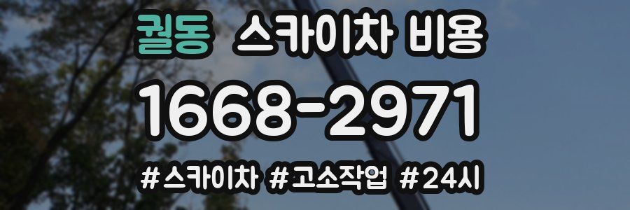 궐동 스카이차 비용