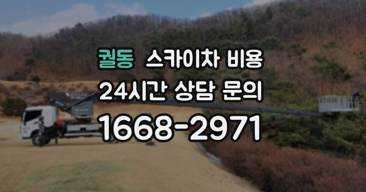 궐동 스카이차 비용