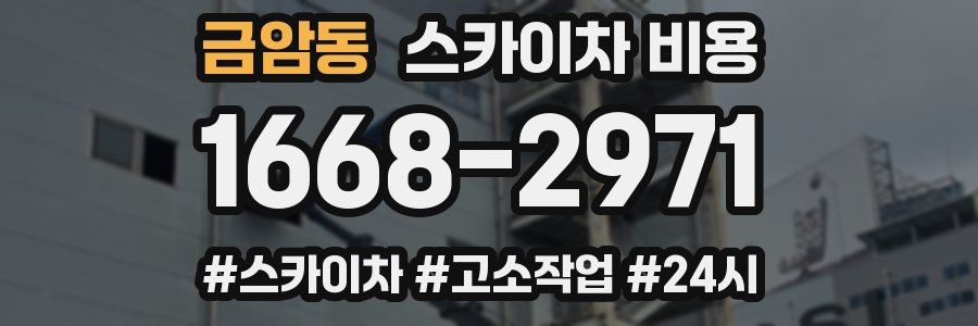 금암동 스카이차 비용