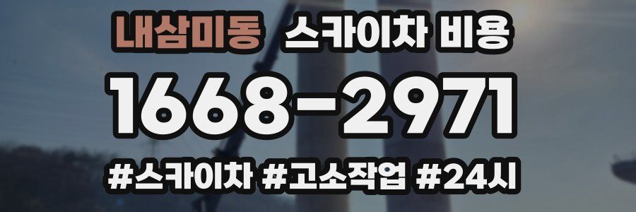 내삼미동 스카이차 비용