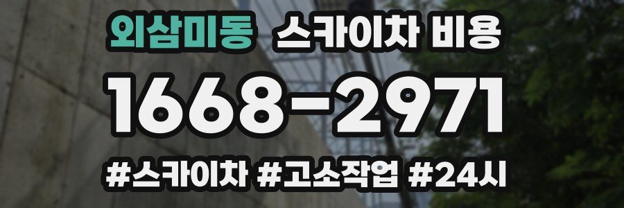 외삼미동 스카이차 비용