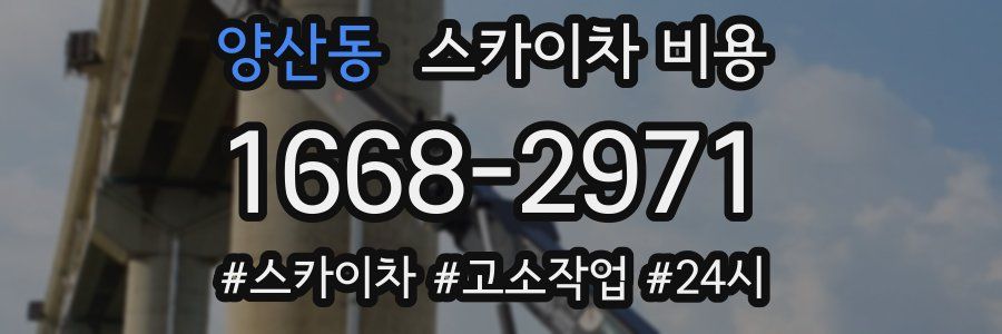 양산동 스카이차 비용