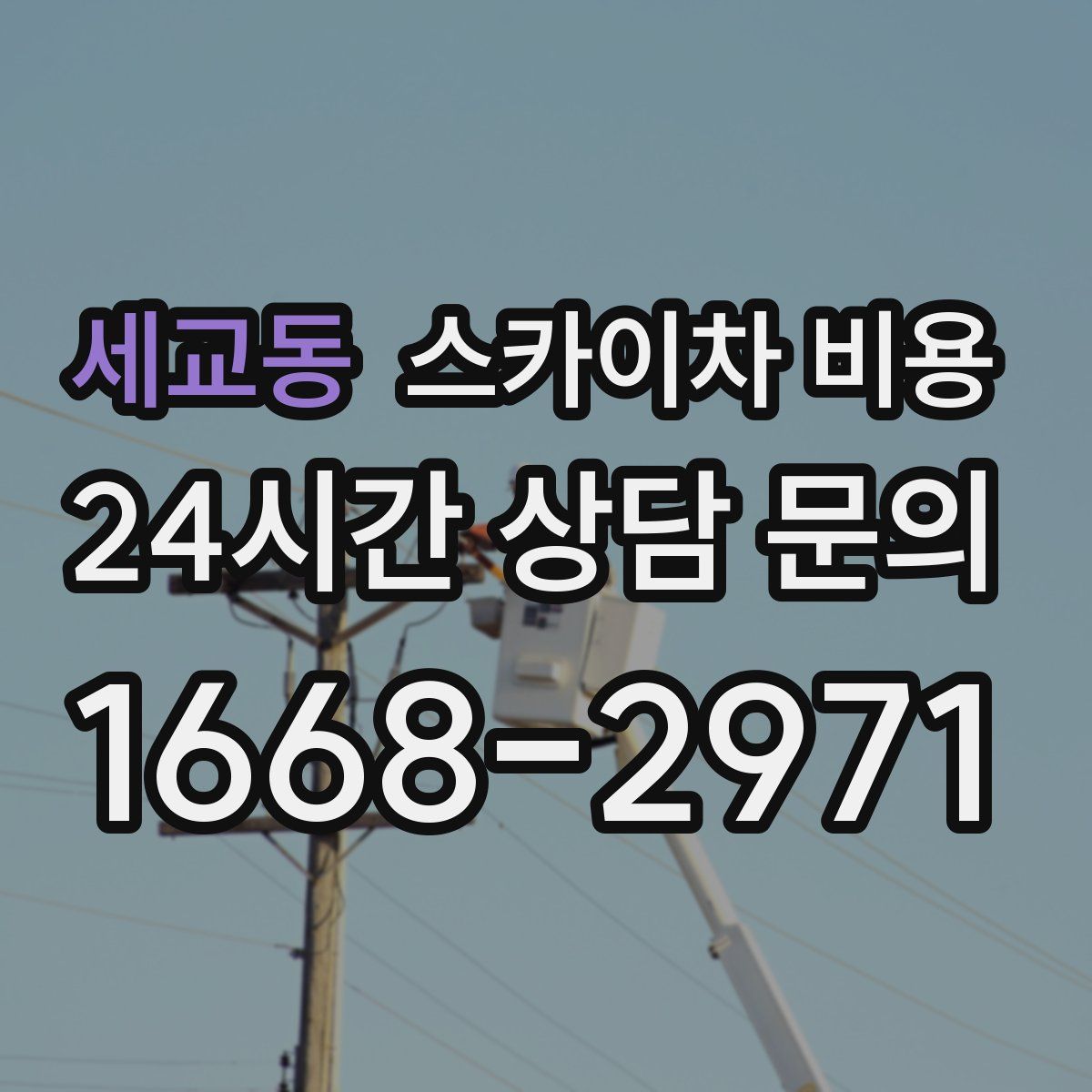 세교동 스카이차 비용