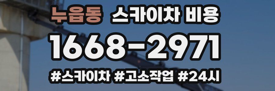 누읍동 스카이차 비용