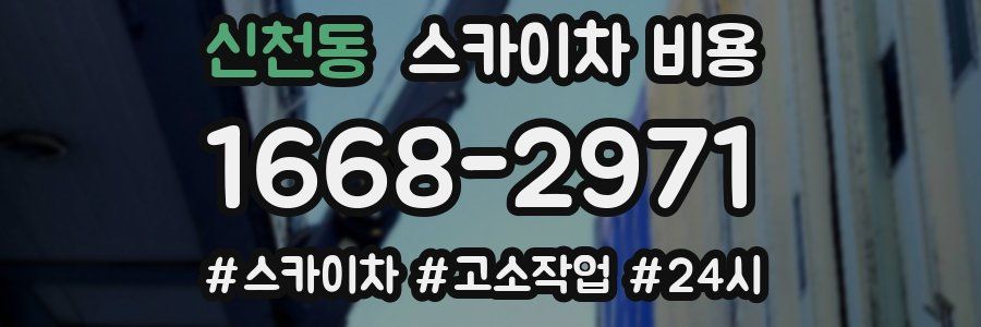 신천동 스카이차 비용