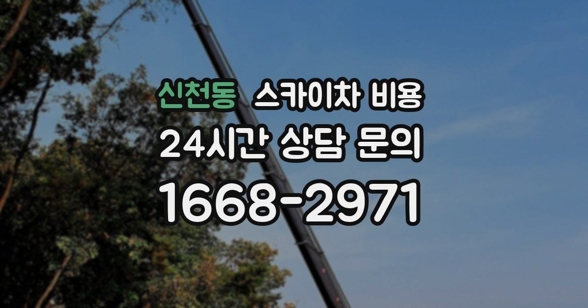 신천동 스카이차 비용