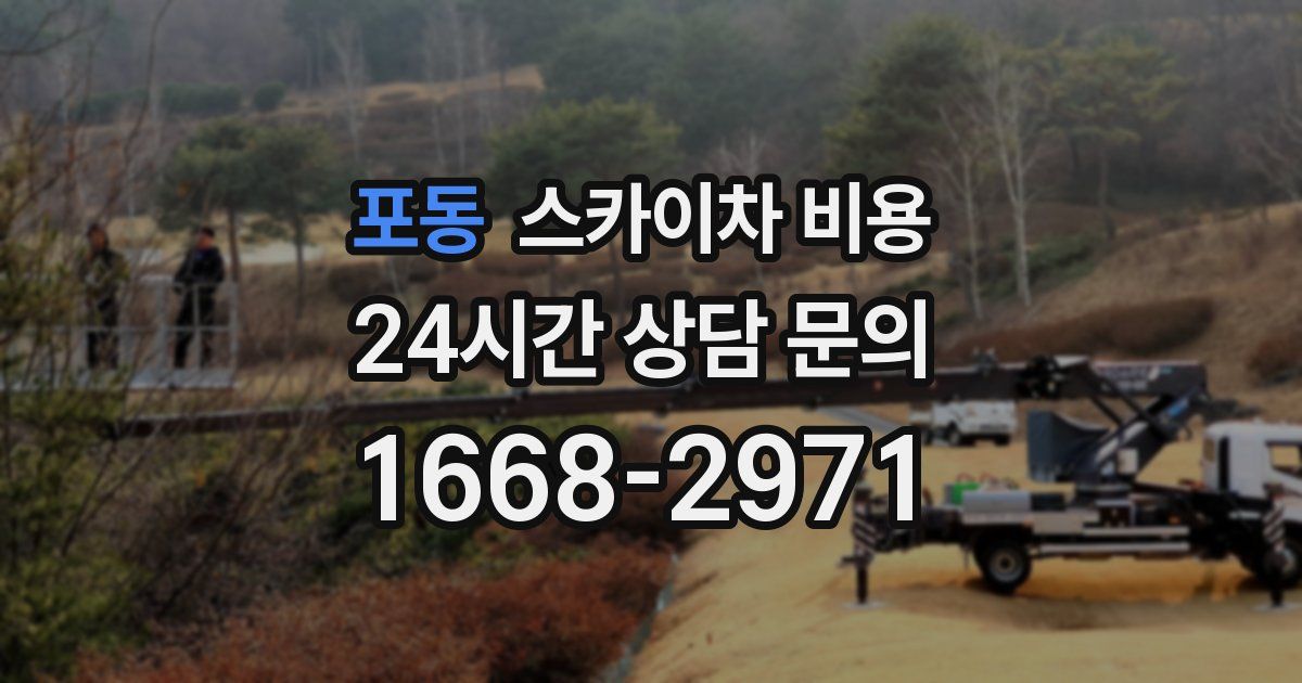 포동 스카이차 비용