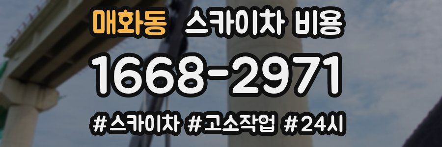 매화동 스카이차 비용