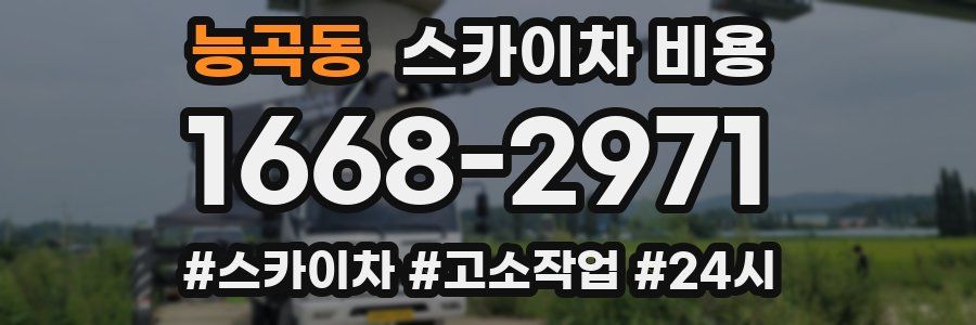 능곡동 스카이차 비용