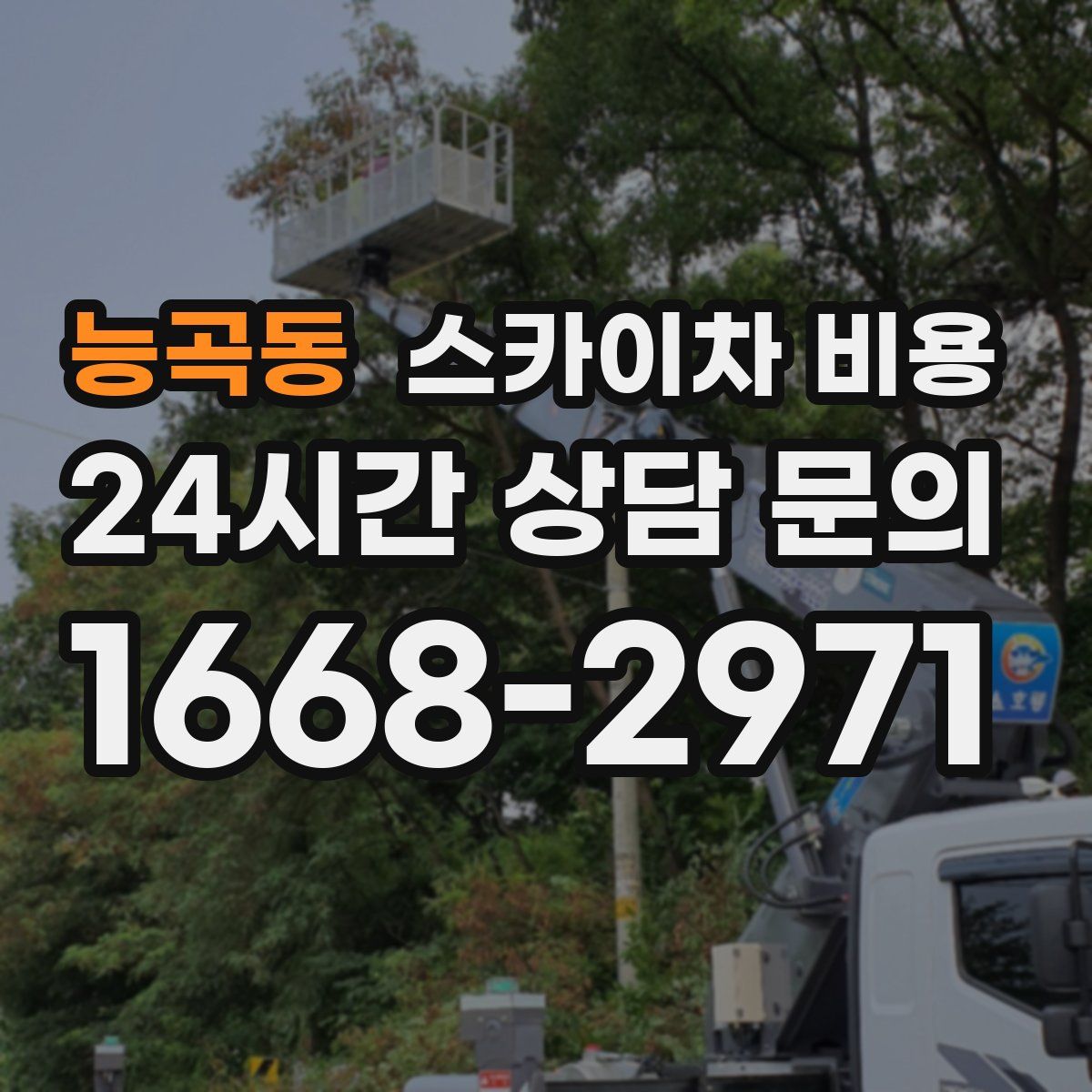 능곡동 스카이차 비용