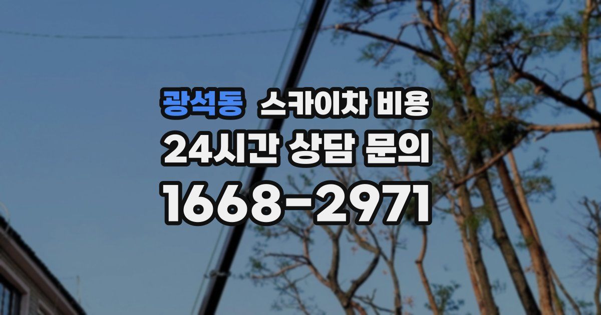 광석동 스카이차 비용