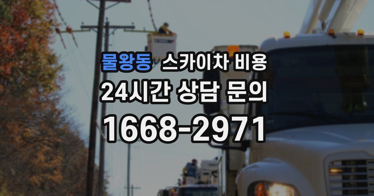 물왕동 스카이차 비용