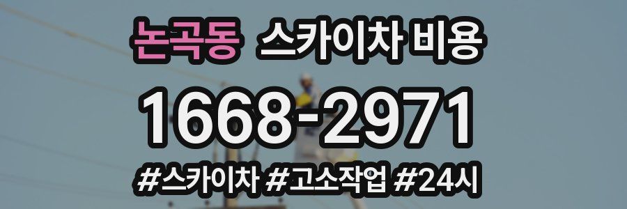 논곡동 스카이차 비용