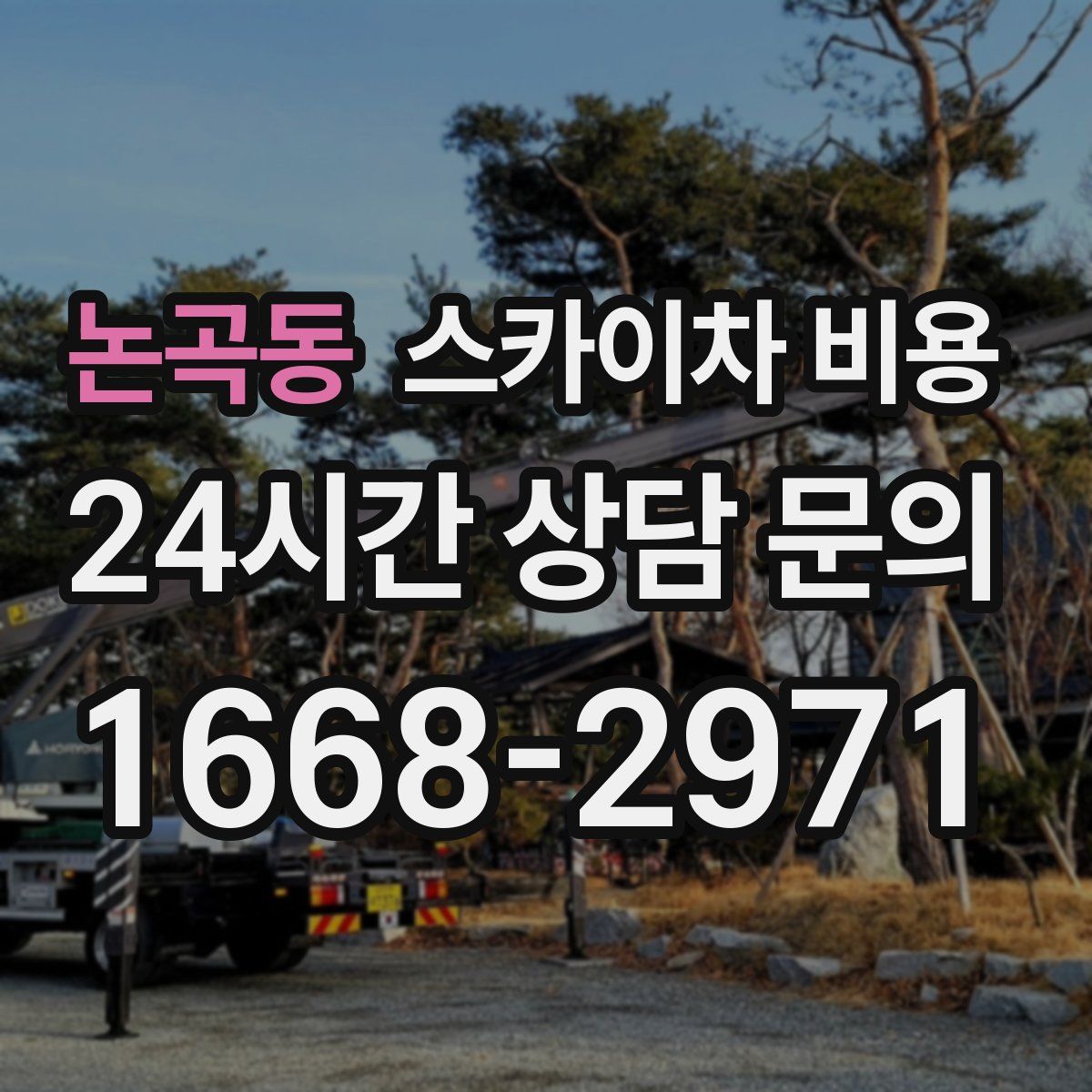 논곡동 스카이차 비용