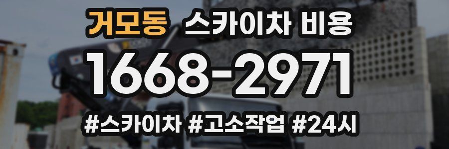 거모동 스카이차 비용