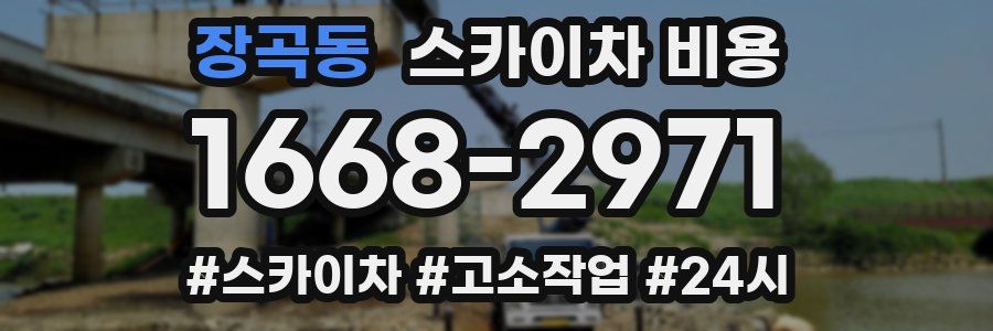 장곡동 스카이차 비용