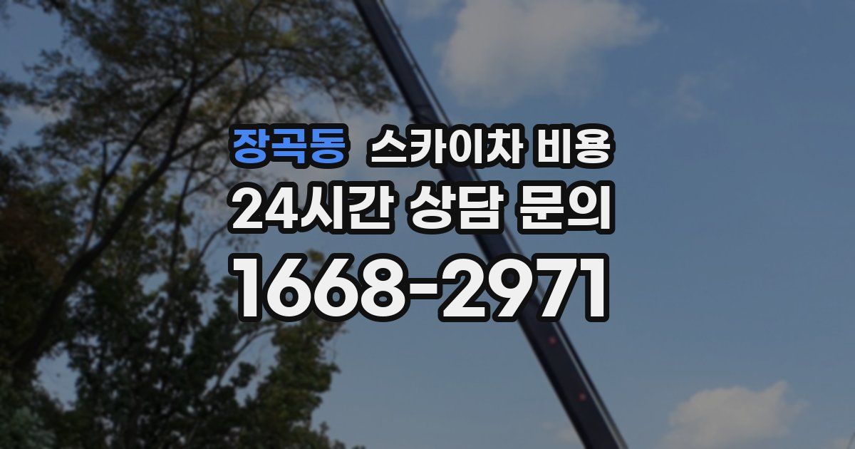 장곡동 스카이차 비용