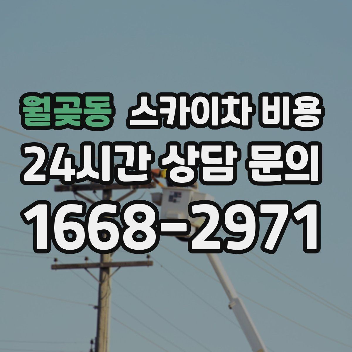 월곶동 스카이차 비용 간판 조명 모듈 교체가 포함되면 달라질까