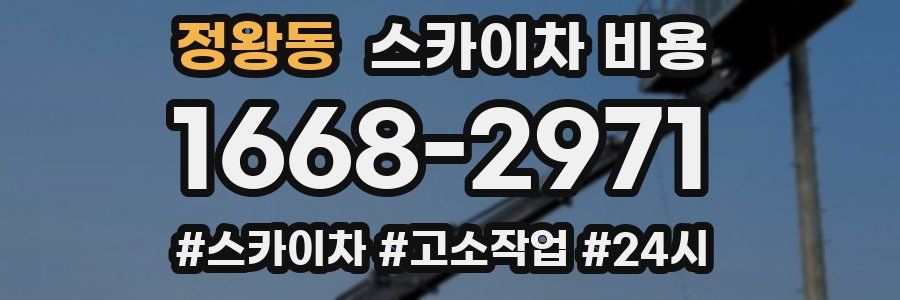 정왕동 스카이차 비용
