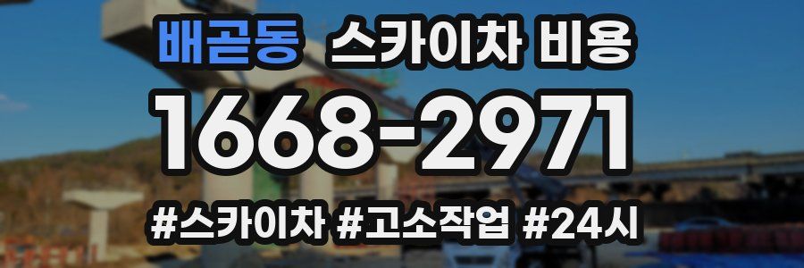 배곧동 스카이차 비용