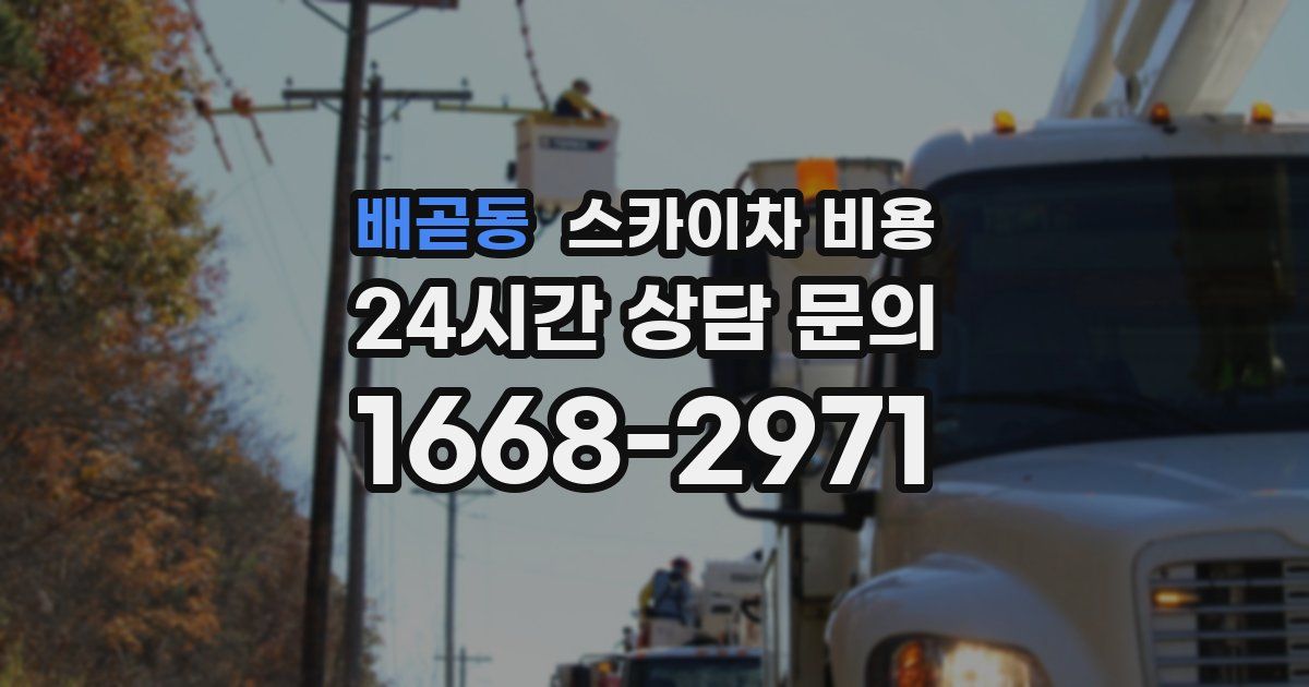 배곧동 스카이차 비용