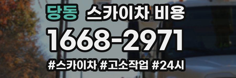 당동 스카이차 비용