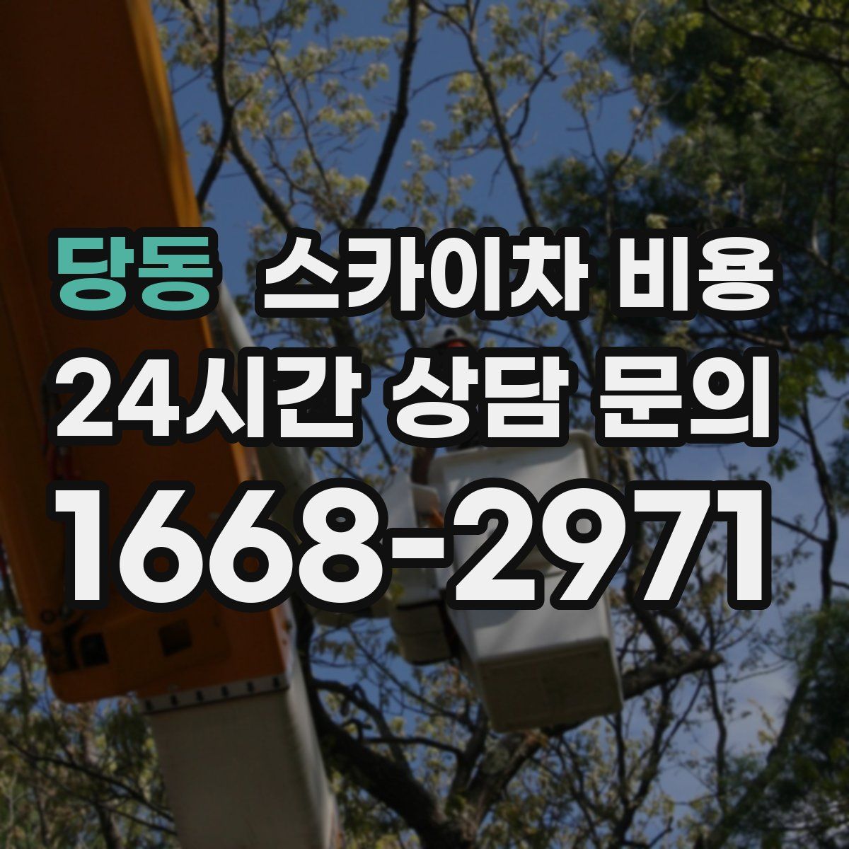 당동 스카이차 비용