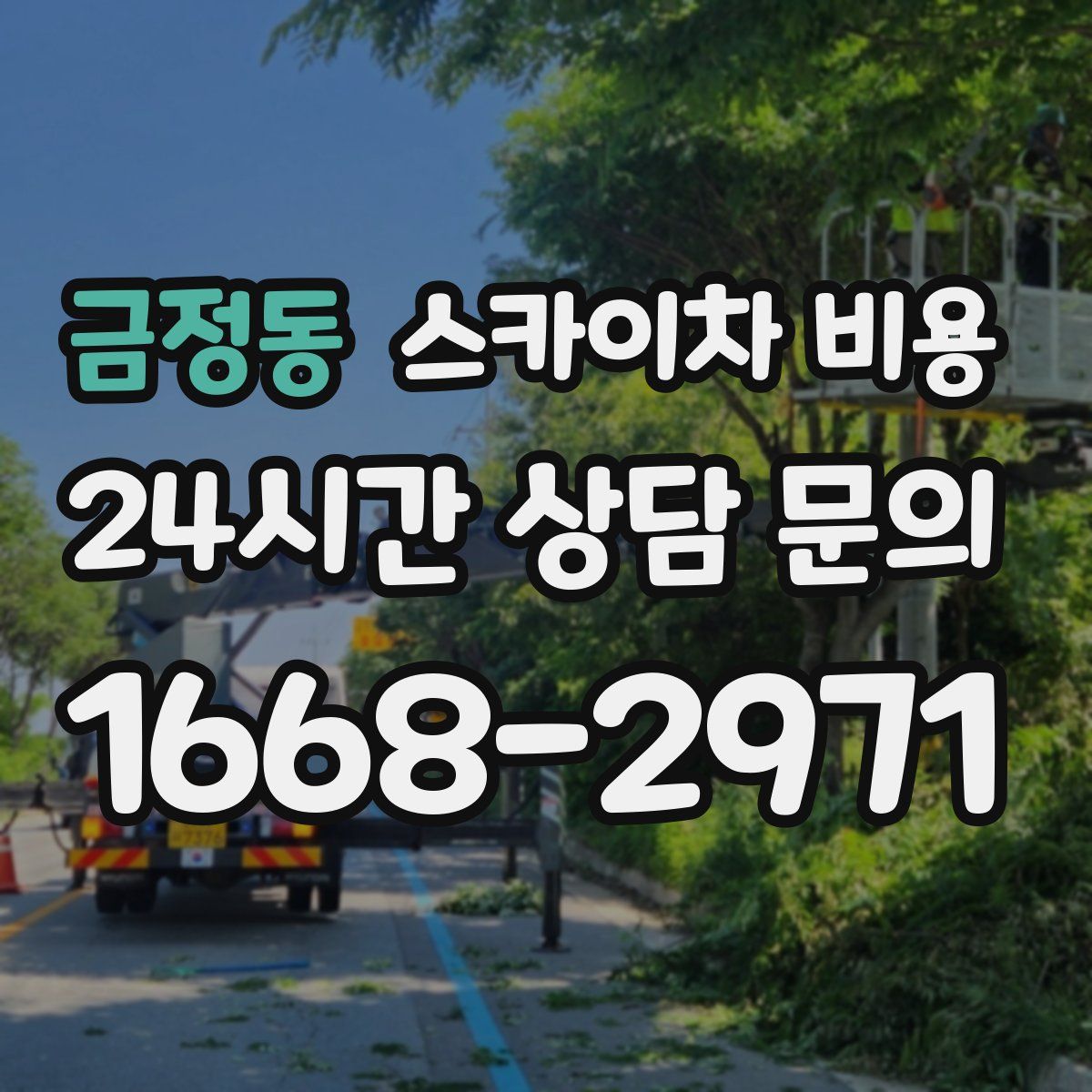 금정동 스카이차 비용