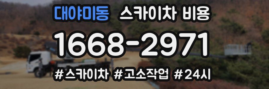 대야미동 스카이차 비용