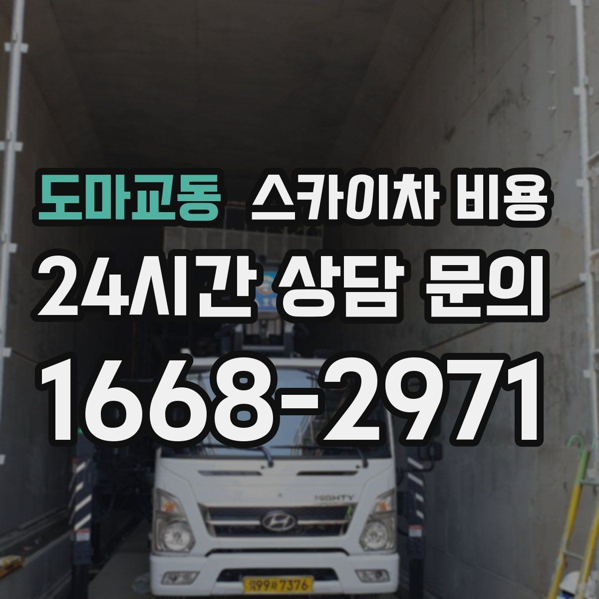도마교동 스카이차 비용 수목 전정은 작업 구역이 넓으면 달라질까