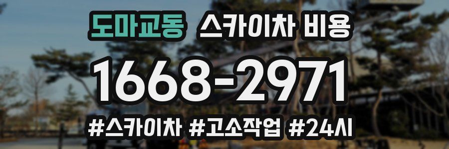 도마교동 스카이차 비용