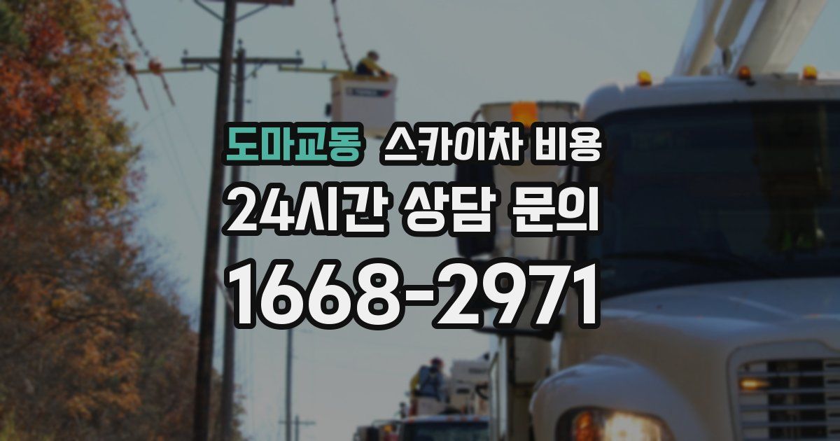 도마교동 스카이차 비용