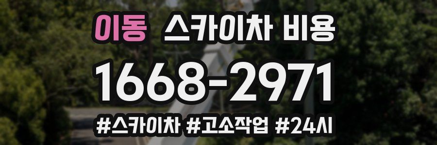 이동 스카이차 비용