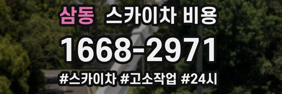 삼동 스카이차 비용