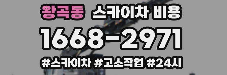 왕곡동 스카이차 비용