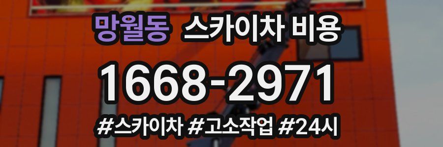 망월동 스카이차 비용