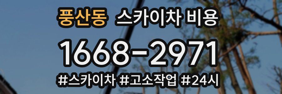 풍산동 스카이차 비용