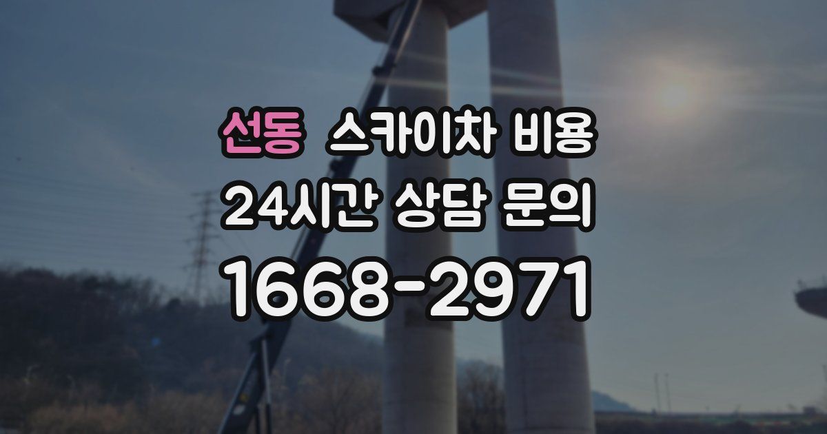 선동 스카이차 비용