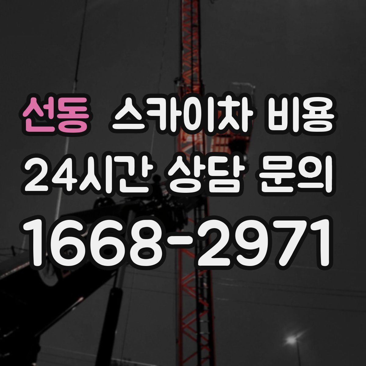 선동 스카이차 비용