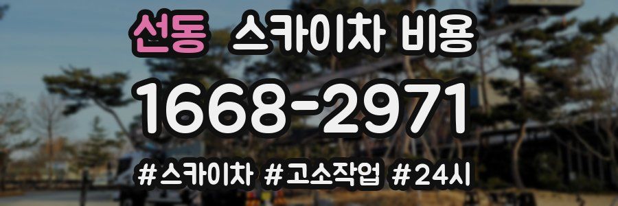 선동 스카이차 비용