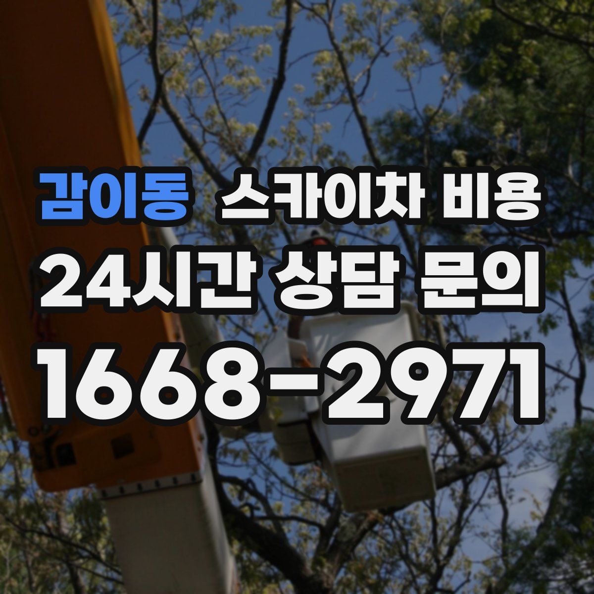 감이동 스카이차 비용