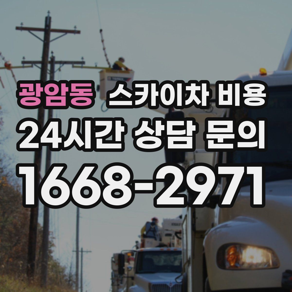 광암동 스카이차 비용