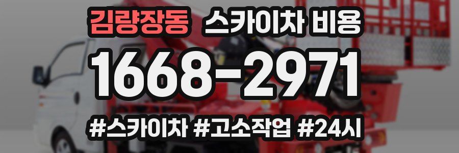 김량장동 스카이차 비용