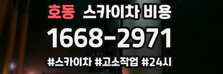 호동 스카이차 비용