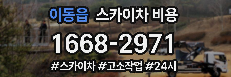 이동읍 스카이차 비용