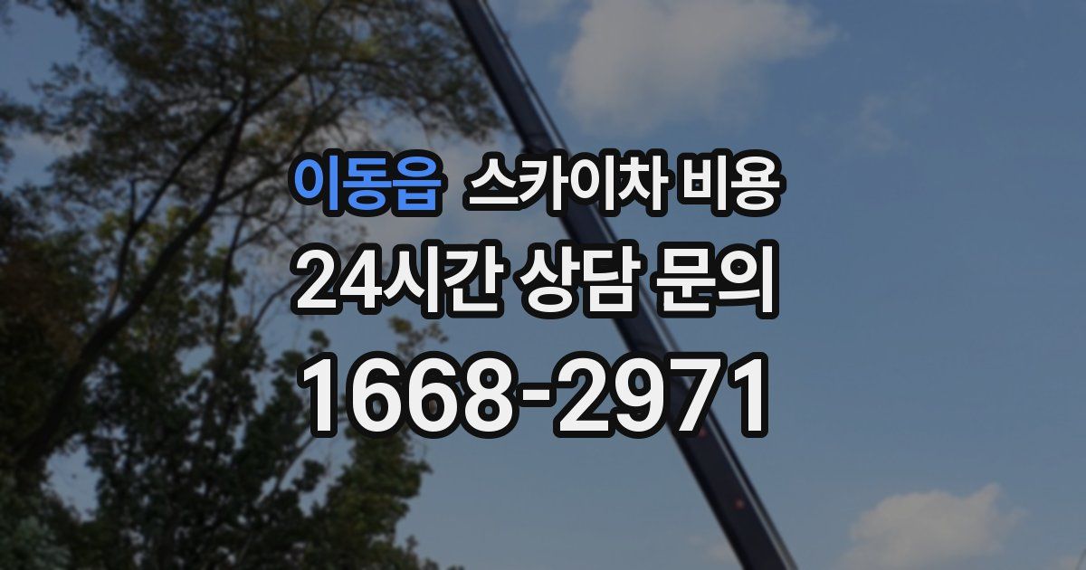 이동읍 스카이차 비용