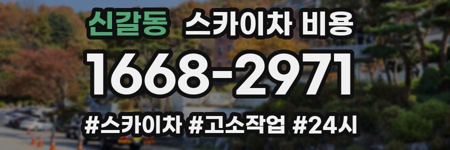 신갈동 스카이차 비용