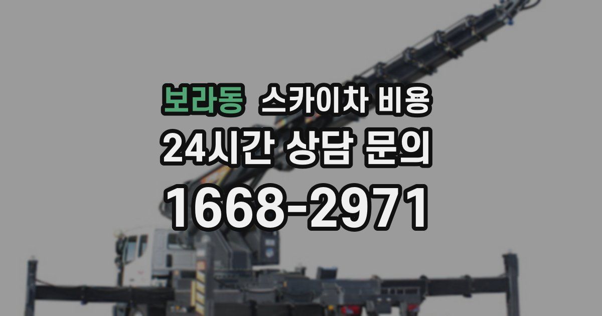 보라동 스카이차 비용